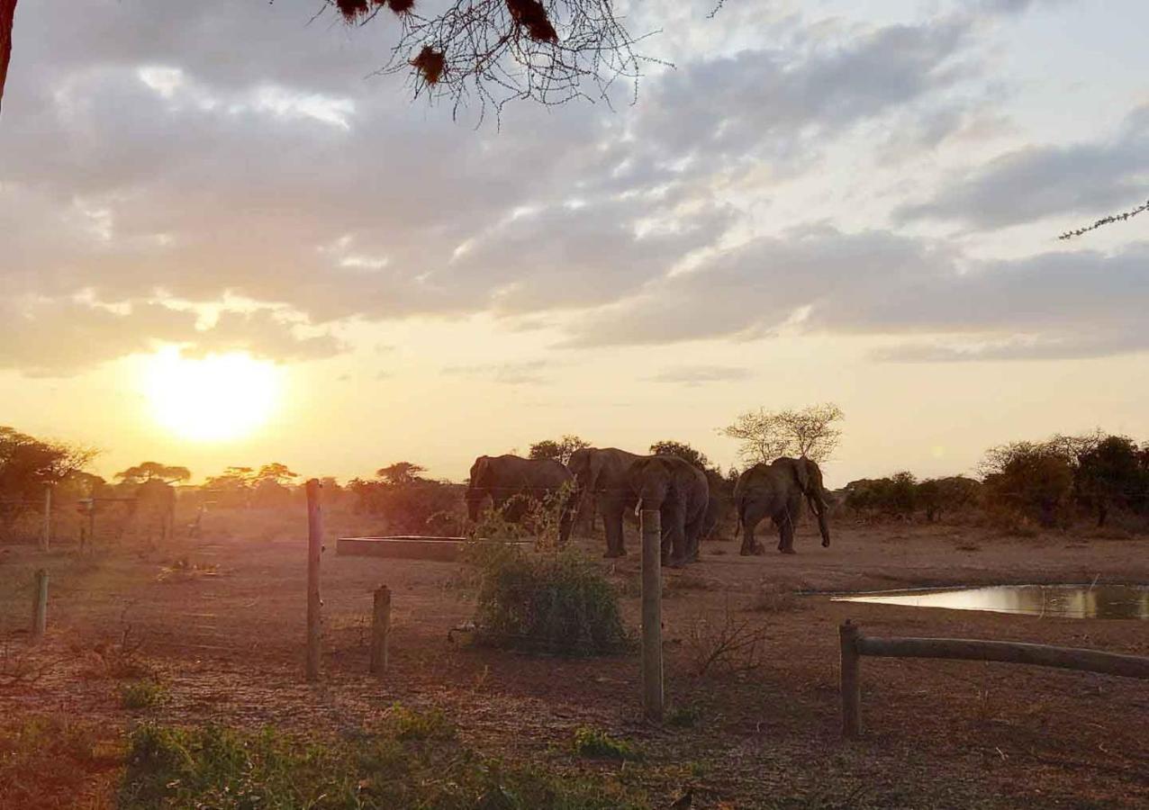 Oilepo Amboseli Hotel Rift Valley Kültér fotó